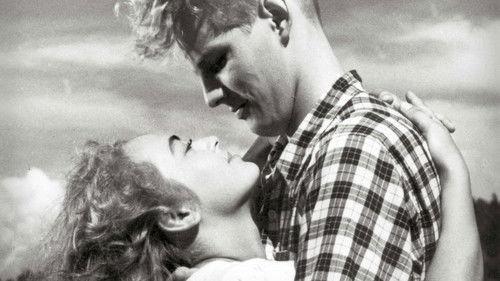 The Milkmaid filmas žiurėti online