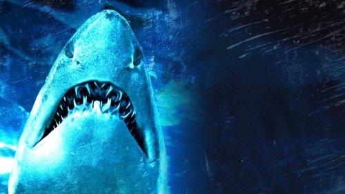 Dam Sharks! filmas žiurėti online