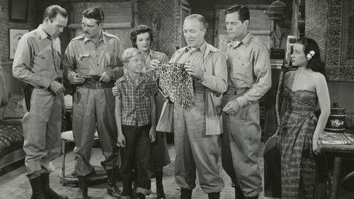 The Lost Volcano filmas žiurėti online