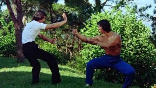 Bruce's Deadly Fingers filmas žiurėti online