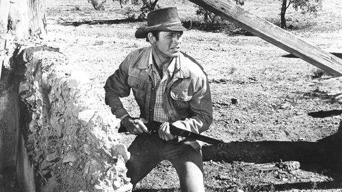 Return of the Gunfighter filmas žiurėti online