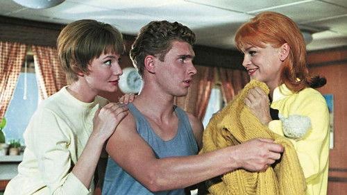 Reise ins Ehebett filmas žiurėti online