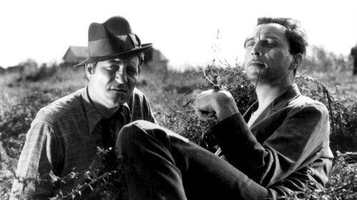 The Lower Depths filmas žiurėti online