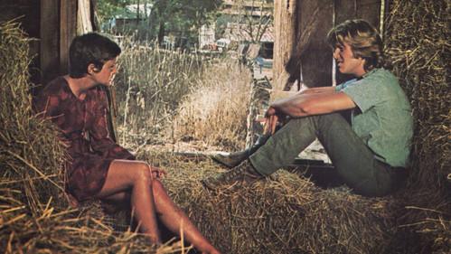 Lolly-Madonna XXX filmas žiurėti online