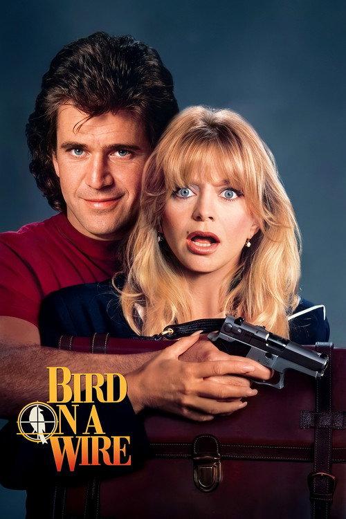 Paukšteli, spruk filmas online
