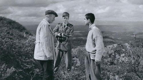 Krvavi put filmas žiurėti online