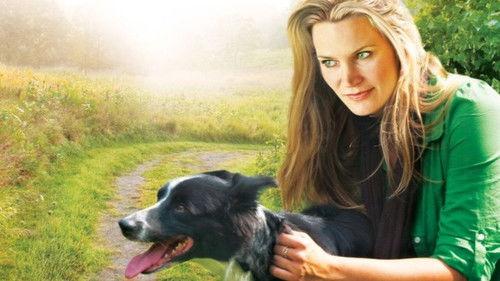 You Lucky Dog filmas žiurėti online