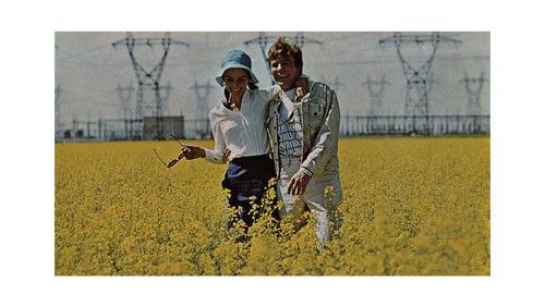 Dviese kelyje filmas žiurėti online