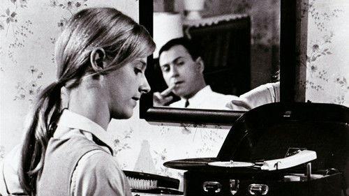 The Heart Is a Lonely Hunter filmas žiurėti online