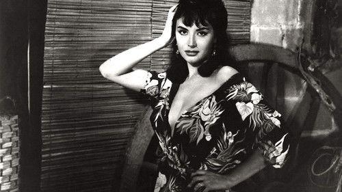 Thunder Among the Leaves filmas žiurėti online