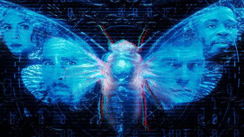 Tamsusis internetas: Cicada 3301 filmas žiurėti online