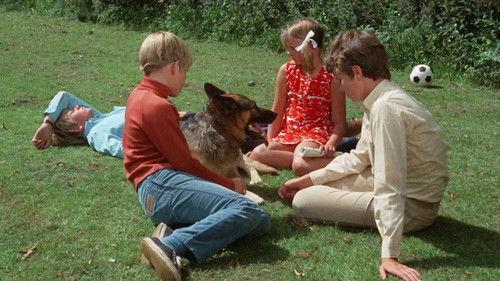 Famous Five Get in Trouble filmas žiurėti online