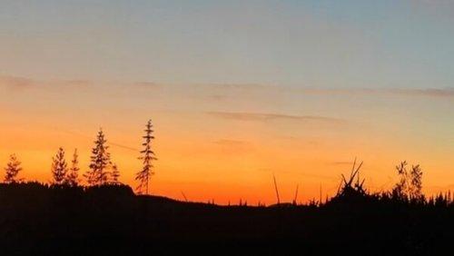 Idaho Fallen filmas žiurėti online