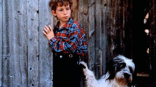 Weihnachten mit Willy Wuff filmas žiurėti online