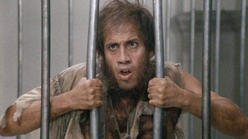 Bingo Bongo filmas žiurėti online