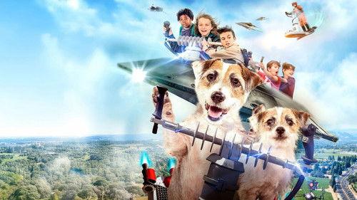 A Doggone Adventure filmas žiurėti online