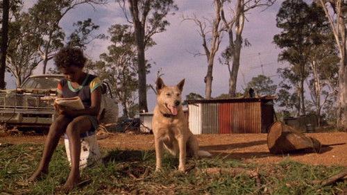 The Fringe Dwellers filmas žiurėti online