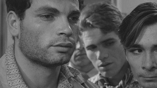 Violent Life filmas žiurėti online