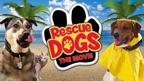 Rescue Dogs filmas žiurėti online