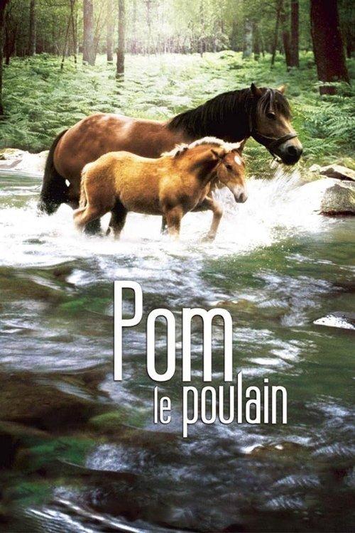 Pom, le poulain filmas online