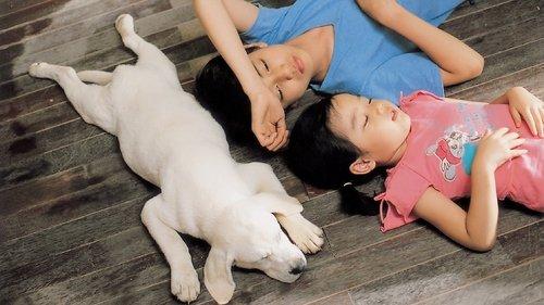 Hearty Paws filmas žiurėti online