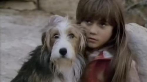 Lost filmas žiurėti online