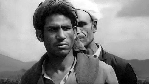 Patrol in the East filmas žiurėti online