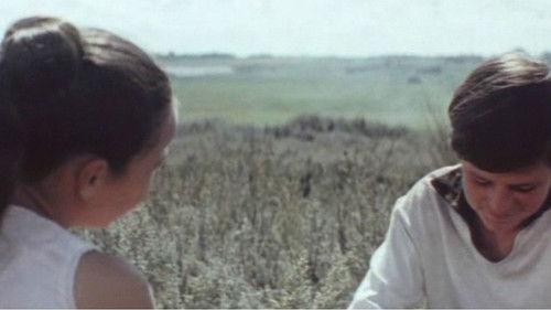 The Fifteenth Spring filmas žiurėti online