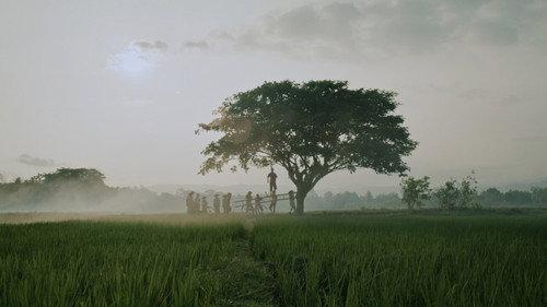 Lobang Buaya, 309 Hari Sebelum Tragedi Berdarah filmas žiurėti online