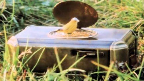 Land of Dreams filmas žiurėti online