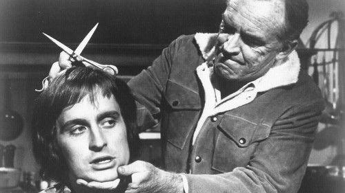 Hail, Hero! filmas žiurėti online