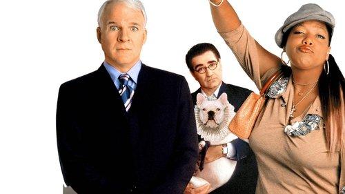 Bringing Down the House filmas žiurėti online