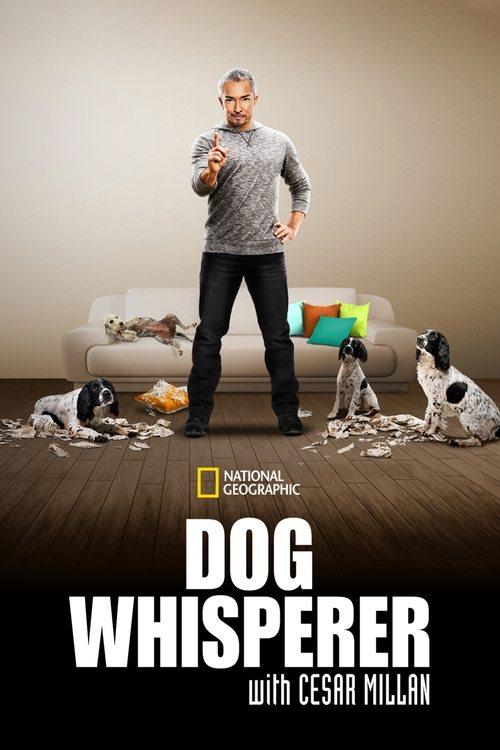 Dog Whisperer filmas online