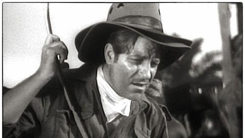 The Messenger filmas žiurėti online