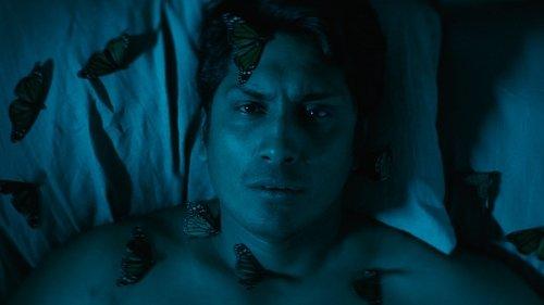 Hijo de monarcas filmas žiurėti online