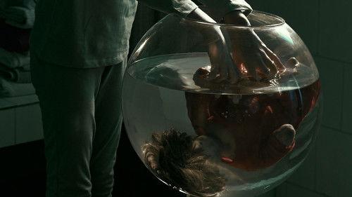 Silentium filmas žiurėti online