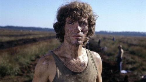 Die Verrohung des Franz Blum filmas žiurėti online