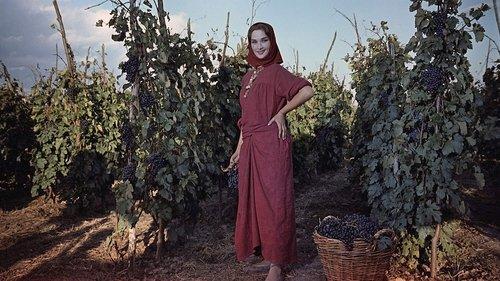 The Cossacks filmas žiurėti online