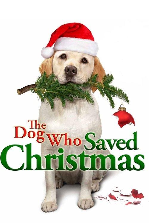 The Dog Who Saved Christmas filmas online