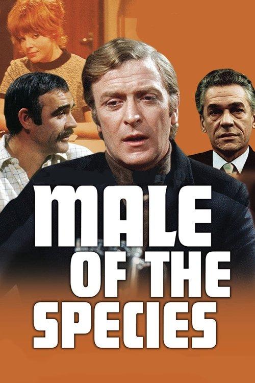 Male of the Species filmas online