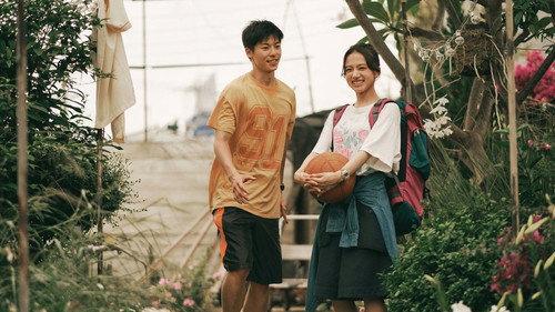 青春18x2 君へと続く道 filmas žiurėti online