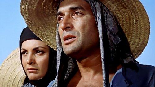 La venganza filmas žiurėti online