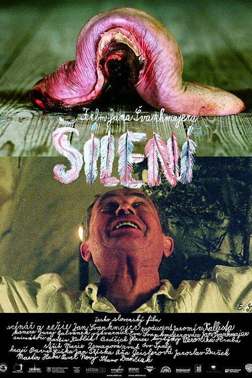 Šílení filmas online