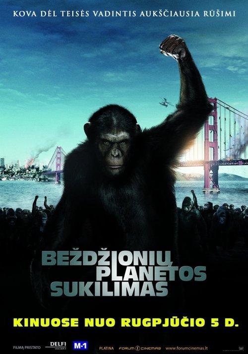 Beždžionių planetos sukilimas filmas online