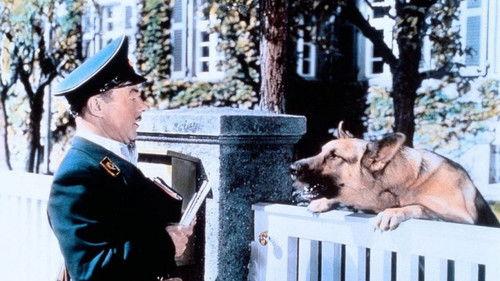 Mailman Mueller filmas žiurėti online