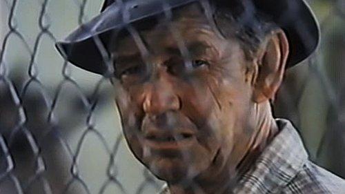 Angel City filmas žiurėti online