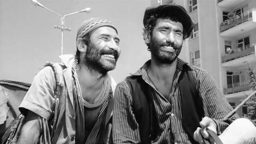 Hope filmas žiurėti online