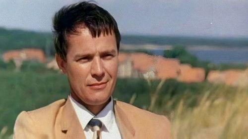 Auction filmas žiurėti online