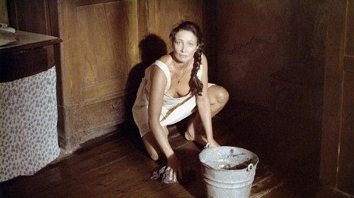 Woman from the Provinces filmas žiurėti online