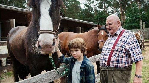 Krauses Zukunft filmas žiurėti online